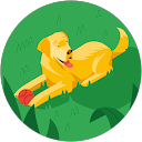 Jorge S. profile picture